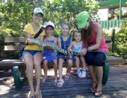 オーストラリアデミペア